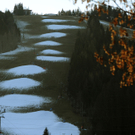 ABD0085-20111126.jpg