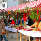 BK_tostner_adventm__rktle 10_jpg-1322340124