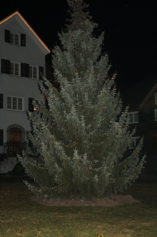IMG_2288_jpg-1322380929