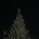 IMG_2289_jpg-1322380932