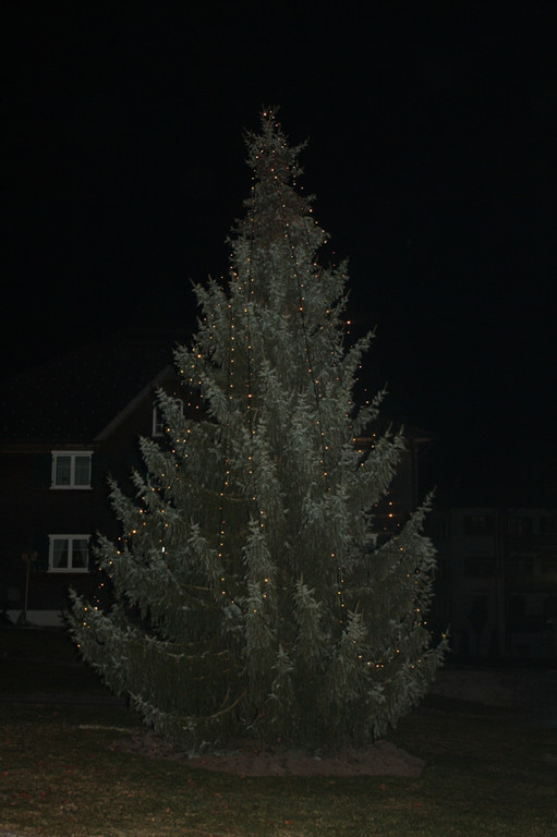 IMG_2289_jpg-1322380932