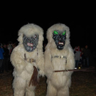 DSC_0337.JPG