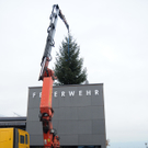 Weihnachtsbaum und Weihnachtsspende