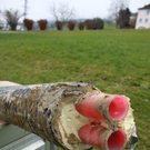Fernwaerme neu 2011 _6__jpg-1322386443
