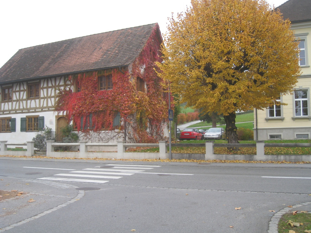 Fernwaerme neu 2011 _18__jpg-1322386501