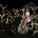 normal_26112011fmt_gniglerlauf_mw_12.JPG