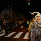 normal_26112011fmt_gniglerlauf_mw_20.JPG