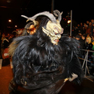 normal_26112011fmt_gniglerlauf_mw_21.JPG