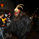 normal_26112011fmt_gniglerlauf_mw_30.JPG