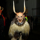 normal_26112011fmt_gniglerlauf_mw_37.JPG