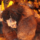 26112011gniglffaktivnews_038.jpg