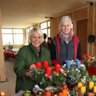 Sonneninsel111125006.jpg