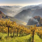 111125 - Naturfreunde Salzburg_Fotobewerb 2011_ Gerhard Luger S__dsteiermark.jpg