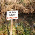 Naturpark 27_11_2011 2_jpg-1322407231