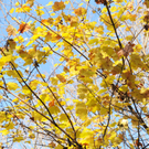 Naturpark 27_11_2011 18_jpg-1322407363