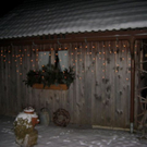 IMG_4005.JPG