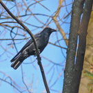 Naturpark 27_11_2011 16_jpg-1322407332