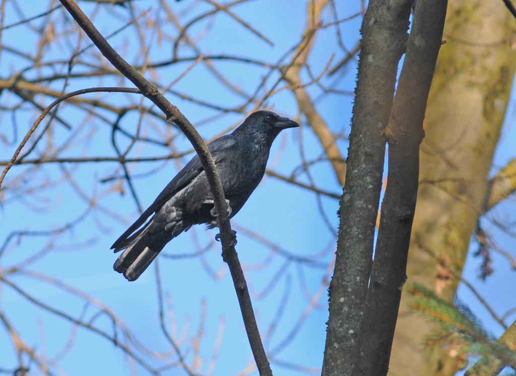 Naturpark 27_11_2011 16_jpg-1322407332