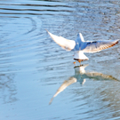 Naturpark 27_11_2011 25_jpg-1322407401