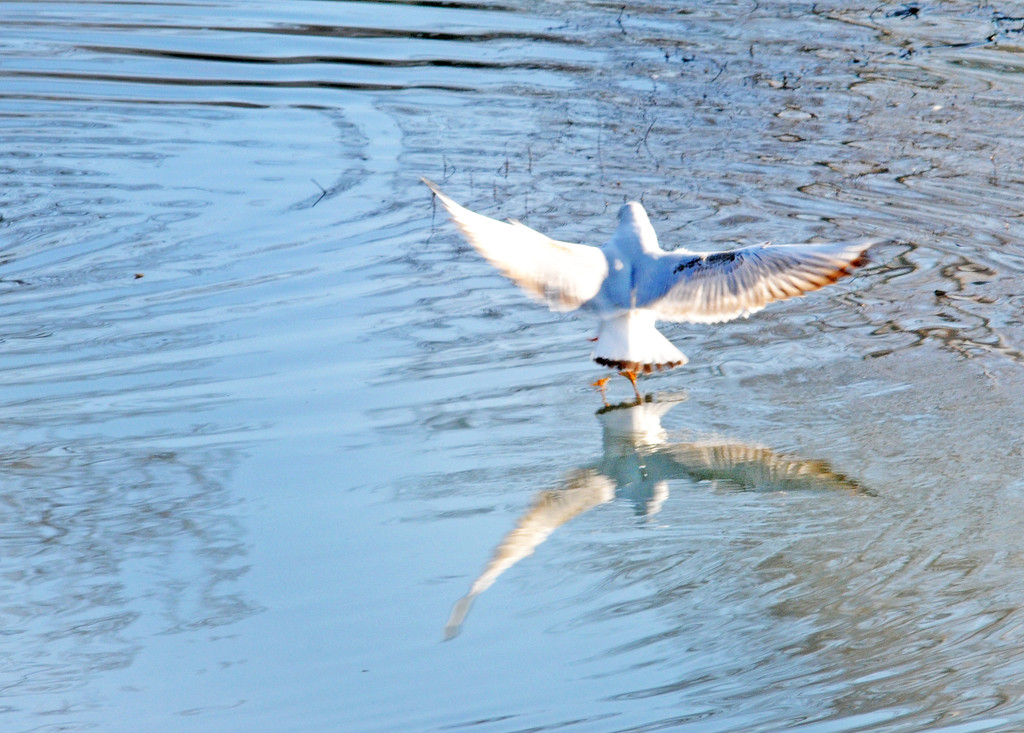 Naturpark 27_11_2011 25_jpg-1322407401