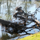 Naturpark 27_11_2011 33_jpg-1322407439