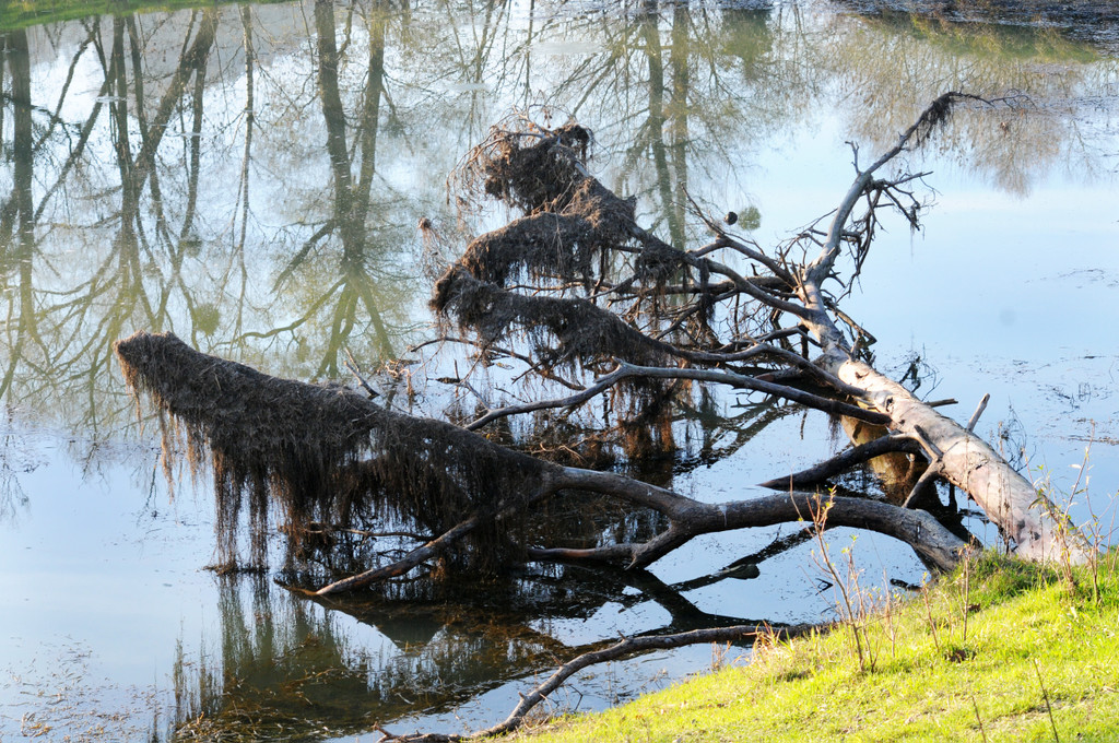 Naturpark 27_11_2011 33_jpg-1322407439