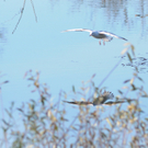 Naturpark 27_11_2011 34_jpg-1322407453