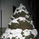 IMG_4007.JPG