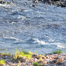 Naturpark 27_11_2011 45_jpg-1322407535