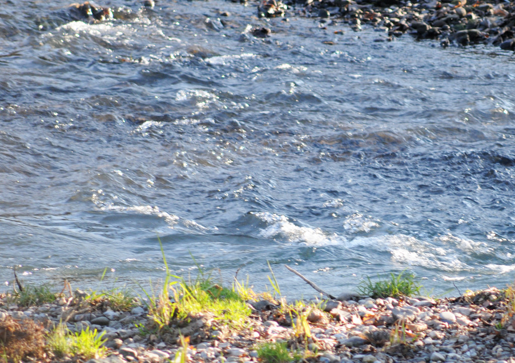 Naturpark 27_11_2011 45_jpg-1322407535