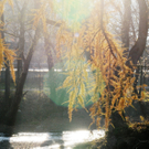 Naturpark 27_11_2011 49_jpg-1322407547
