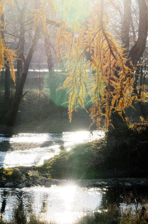 Naturpark 27_11_2011 49_jpg-1322407547