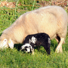 Naturpark 27_11_2011 52_jpg-1322407564