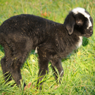 Naturpark 27_11_2011 62_jpg-1322407602