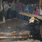 261111pointsfaktivnews054.JPG