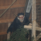 261111pointsfaktivnews080.JPG