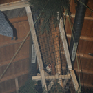 261111pointsfaktivnews078.JPG