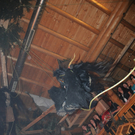 261111pointsfaktivnews086.JPG