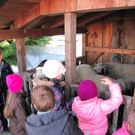 BK_adventmarkt_mit_nikolobesuch_gisingen 10_jpg-1322425197