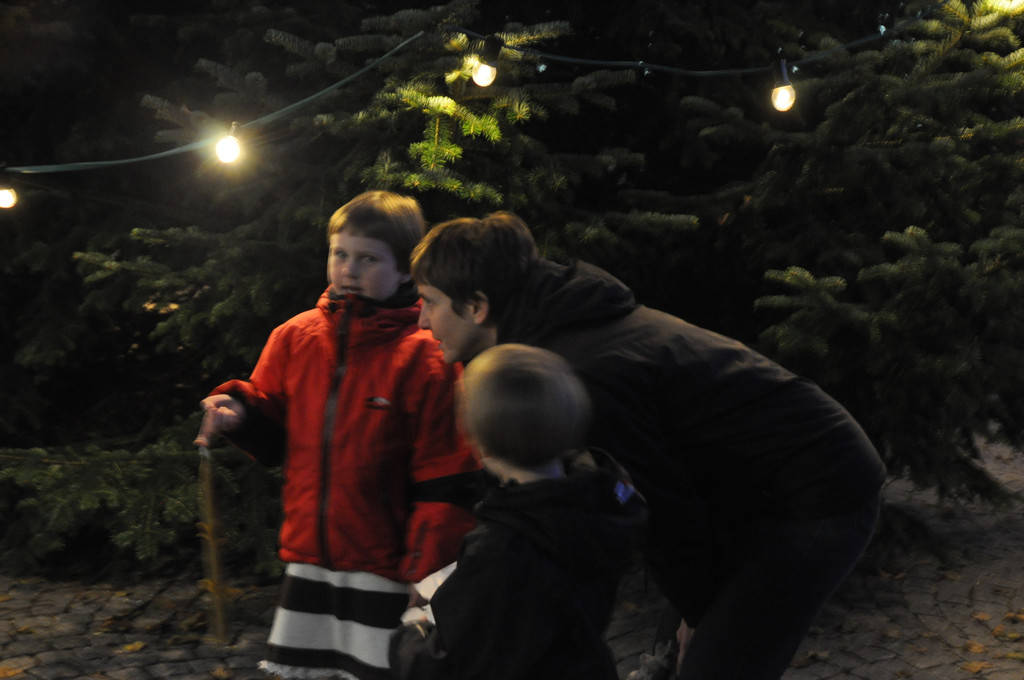 DSC_0061_JPG-1322430467