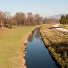 Lustenauer Ried und Alter Rhein
