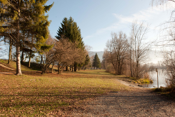 DSC_4275.jpg