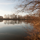 DSC_4287.jpg
