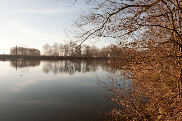DSC_4287.jpg
