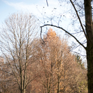DSC_4297.jpg