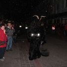 normal_27112011freilassingnmaktivnews__10_.JPG