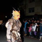 normal_27112011freilassingnmaktivnews__45_.JPG