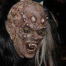 normal_27112011freilassingnmaktivnews__58_.JPG