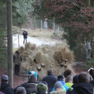 normal_27112011loipeirlaktienws__43_.JPG
