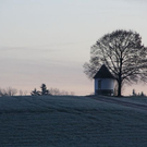 normal_27112011sonnenaufgangpettingkjaktivnews_004.jpg